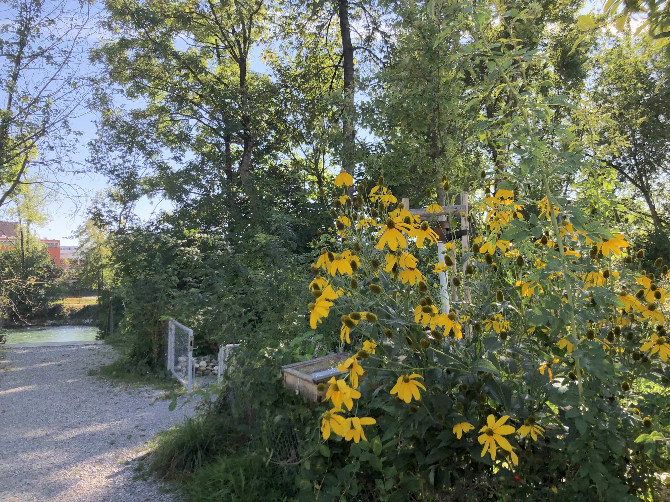 Programm im LeseGartenZimmer